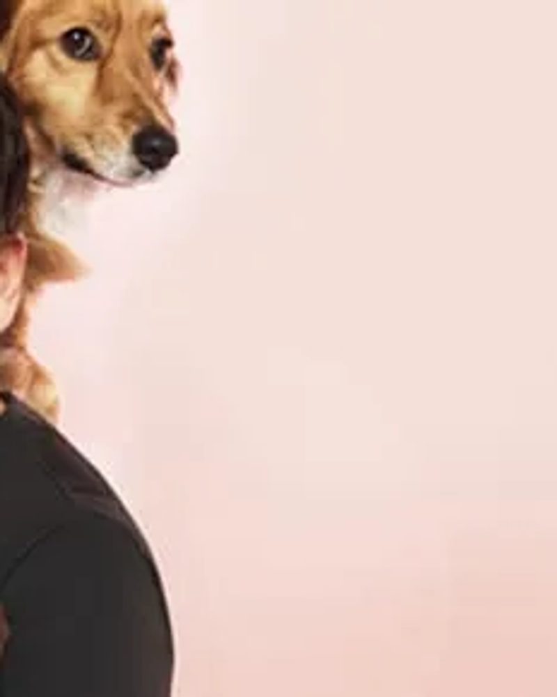 Celebrity Peter Alexander smiling while holding his beloved dachshund Penny and a fluffy dog.