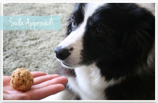 DIY No Bake Treats 4
