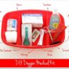 DIY Doggie At Home Medical Kit
