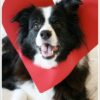 DIY: 5 Minute Valentine
