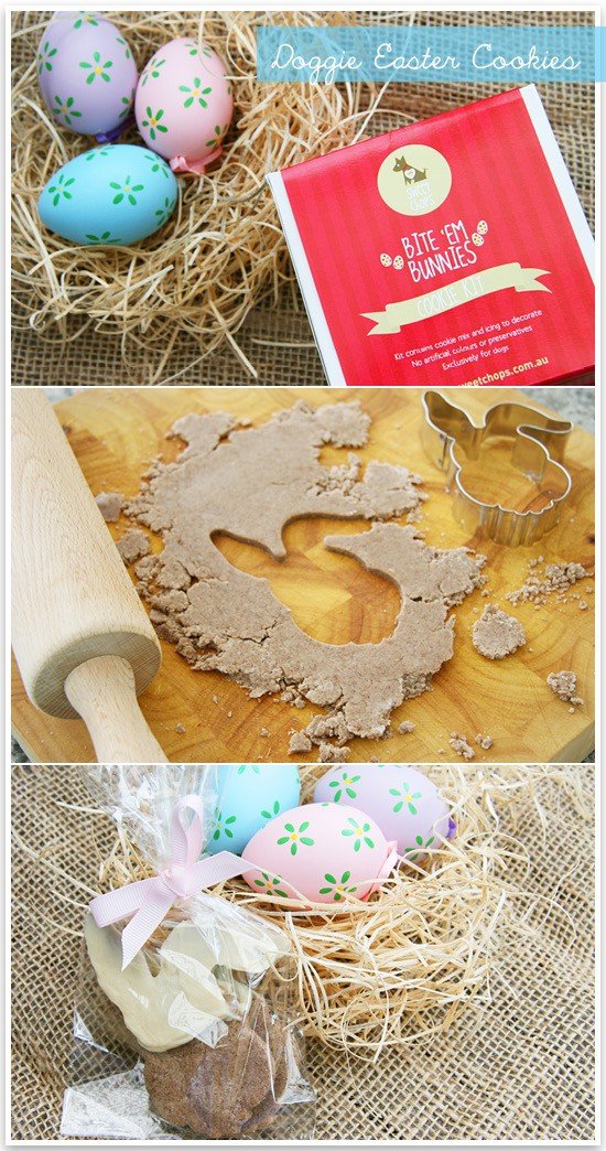 Doggie Easter Cookies DIY