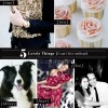 Guest Posting on Little Bits of Lovely