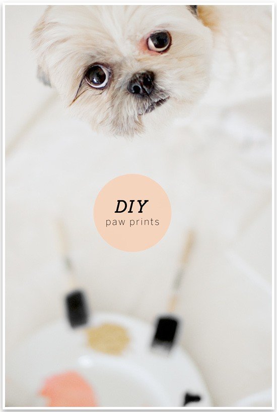 DIY Paw Print Wall Art by Sarah Dickerson | Pretty Fluffy 2