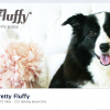 A Pet Friendly Entry Way: Before + After
