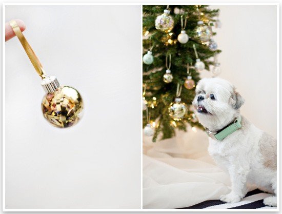 DIY Pet Friendly Christmas Ornaments | Pretty Fluffy