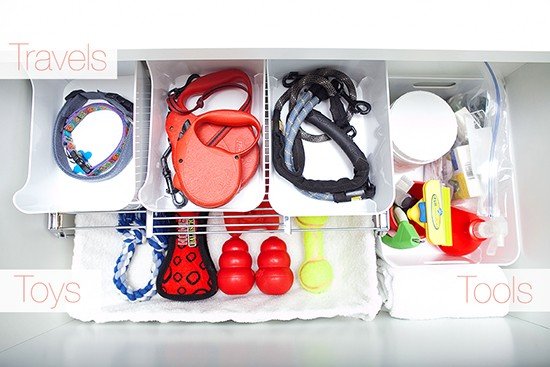 Dog Supplies Organized