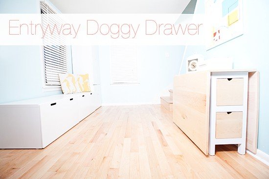 Entryway-Pet-Storage