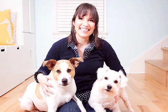 Pretty Organized Posed Dog Photo