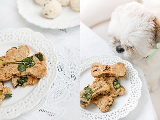 Healthy-Dog-Spinach-&-Apple-Treats