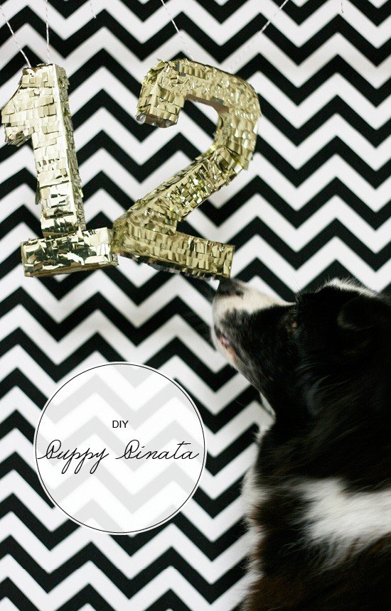 DIY Puppy Pinata | Pretty Fluffy