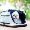 Review: The Sleepypod Air