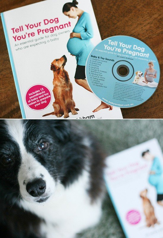 Tell Your Dog You're Pregnant Book Review | Pretty Fluffy