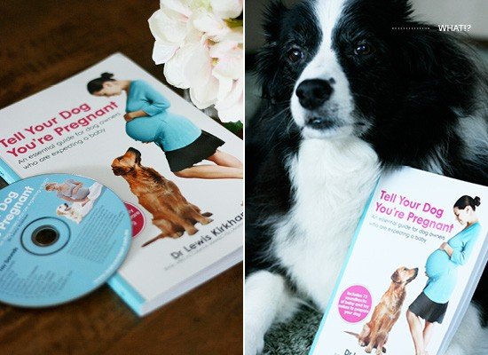 Tell Your Dog You're Pregnant Book Review | Pretty Fluffy