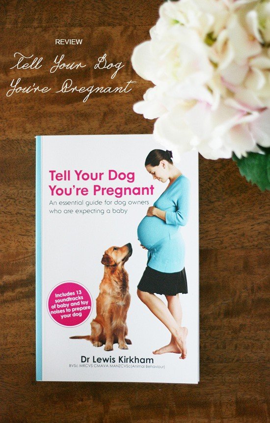 Tell Your Dog You're Pregnant - an Essential Guide | Pretty Fluffy