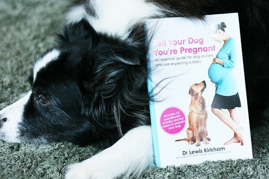 Tell Your Dog You're Pregnant by Dr Lewis Kirkham | Pretty Fluffy