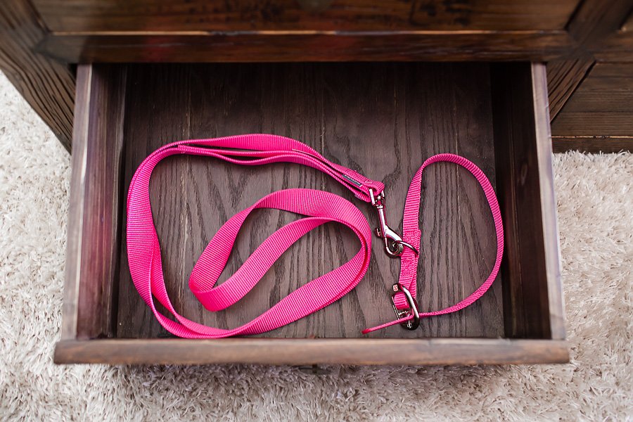 Collars 101: How to Choose & Care for Your Dog’s Collar Collars 101: How to Choose & Care for Your Dog’s Collar