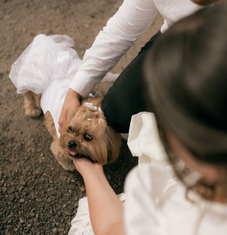 The Guide to Cute Dog Photos at Your Wedding