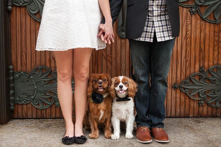 Proposing With A Dog: 4 Ways to Fur-ever Love
