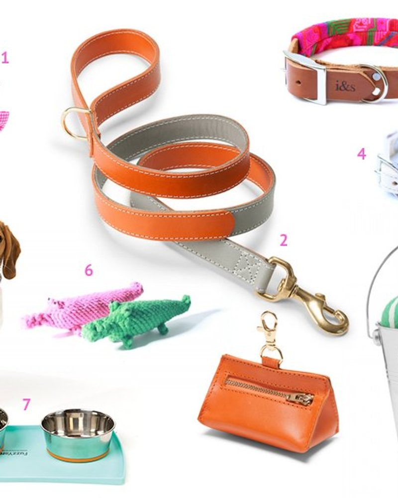 Chic dog accessories featuring an orange leather lead, matching poop bag holder, and colorful knit toys.