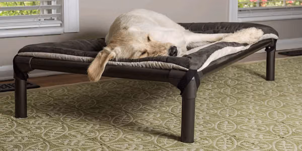 Kuranda chewproof elevated dog bed