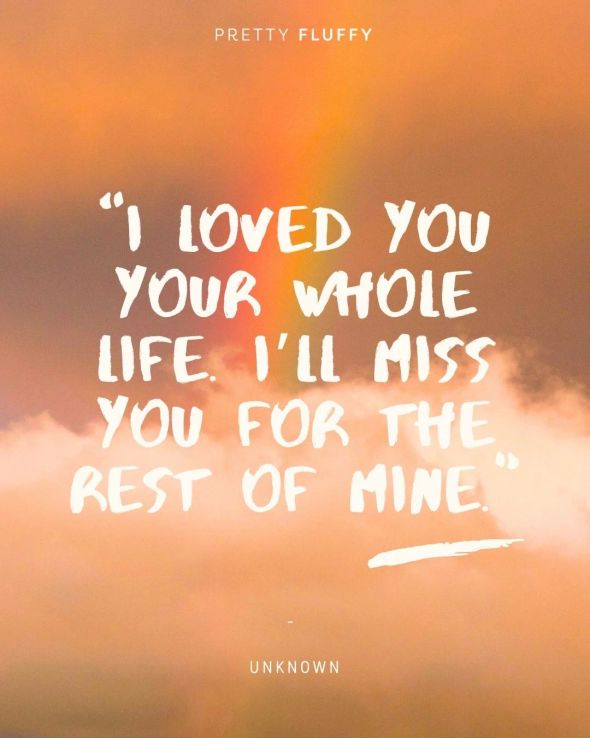 A pet memorial quote overlaid on a warm, cloudy sky with a rainbow.