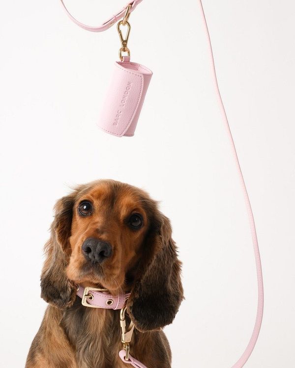 Barc London Luxury Leashes