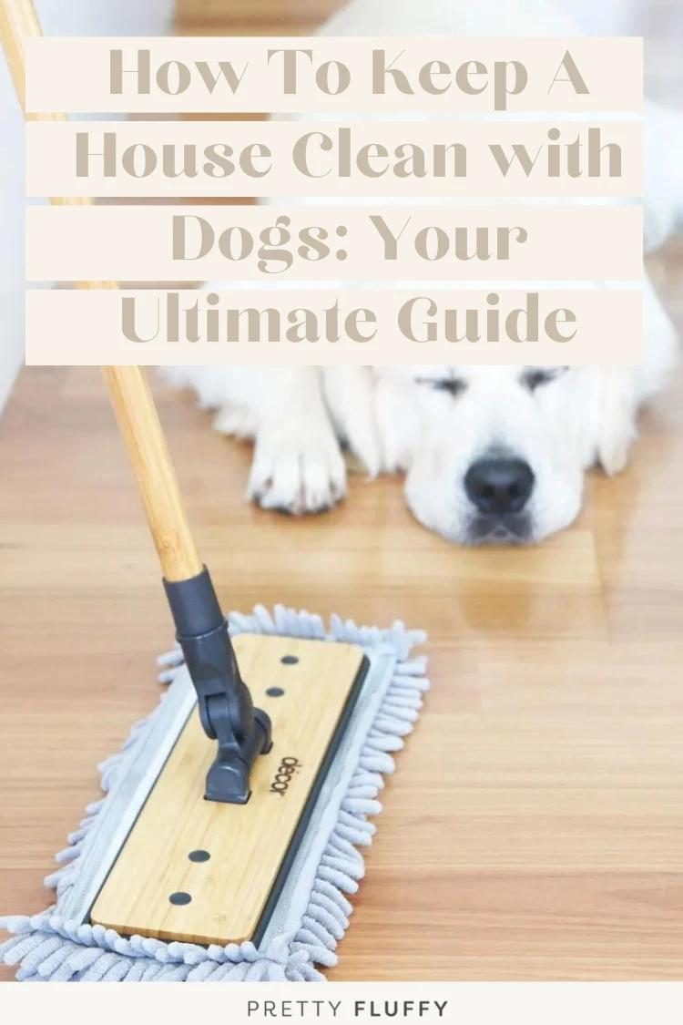 Your Ultimate Guide for Cleaning with Pets-01