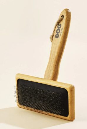 Best dog brushes