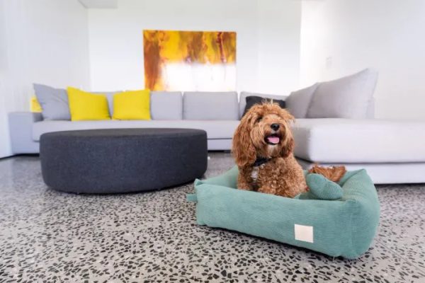 FuzzYard Life Bed - Corduroy Bed