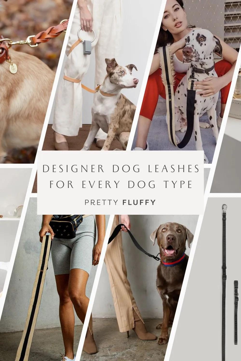 Designer Dog Leashes for Every Dog Type | Pretty Fluffy Pin