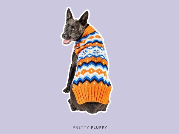 Chilly Dog Campfire Sweater