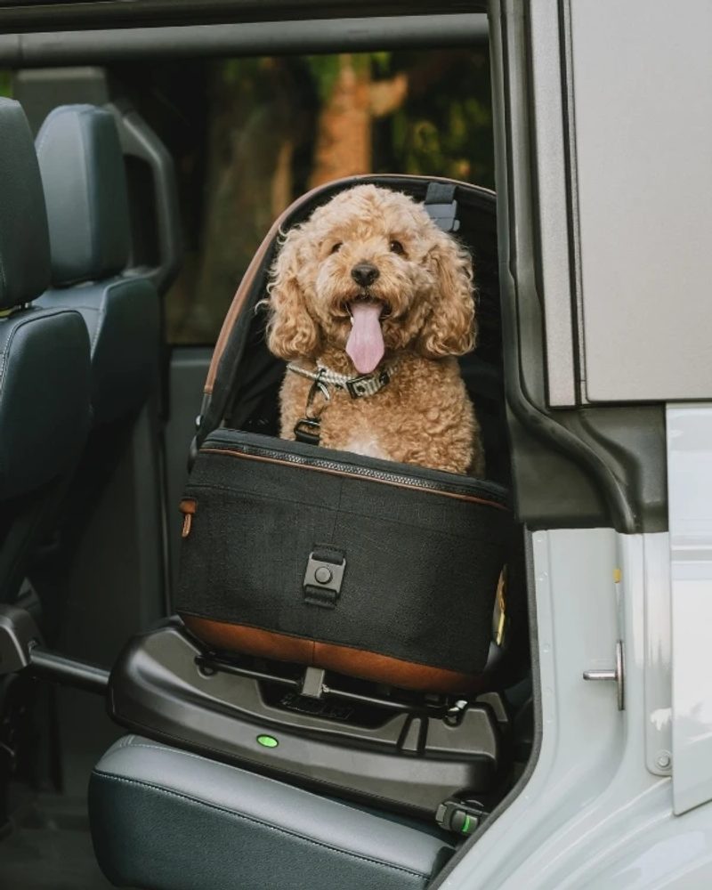 TAVO pet car seat carrier