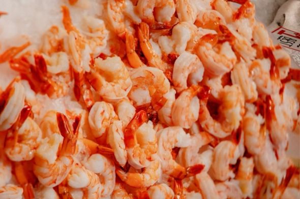 Can Dogs Eat Prawns? Risks & Benefits