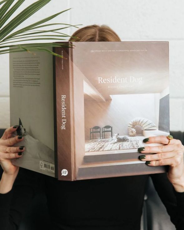Person holding an open copy of Resident Dog in front of their face, with a potted palm in the background.