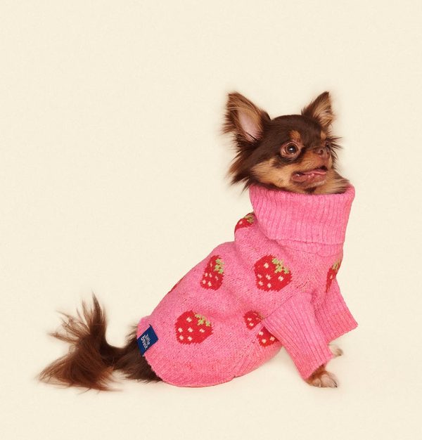 Little Beast Strawberry Dog Sweater