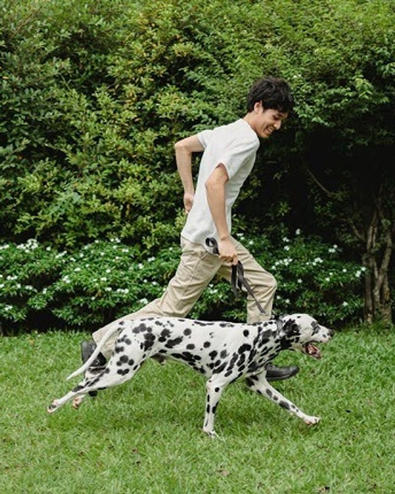 A man enjoys running with his Dalmatian dog on a green lawn in a sunny park. active person best dog