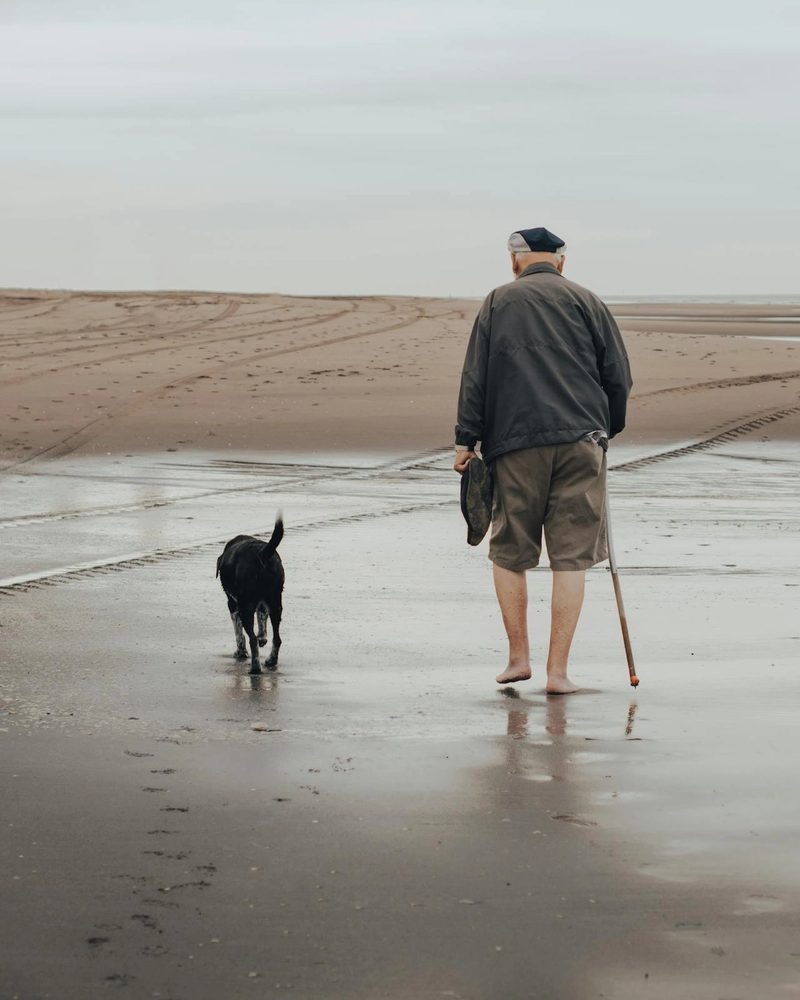 best dog breeds for seniors