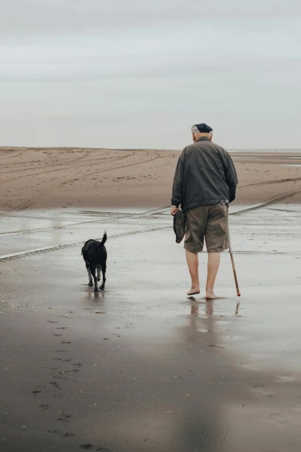 A senior man with a walking stick walks along a sandy beach beside a black dog.