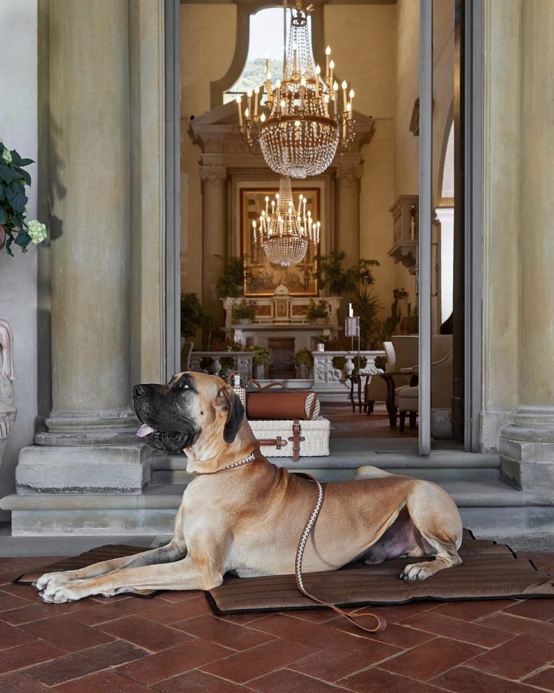 Luxury Pet-Friendly Travel Kit: BMW Italia X Poldo Dog Couture