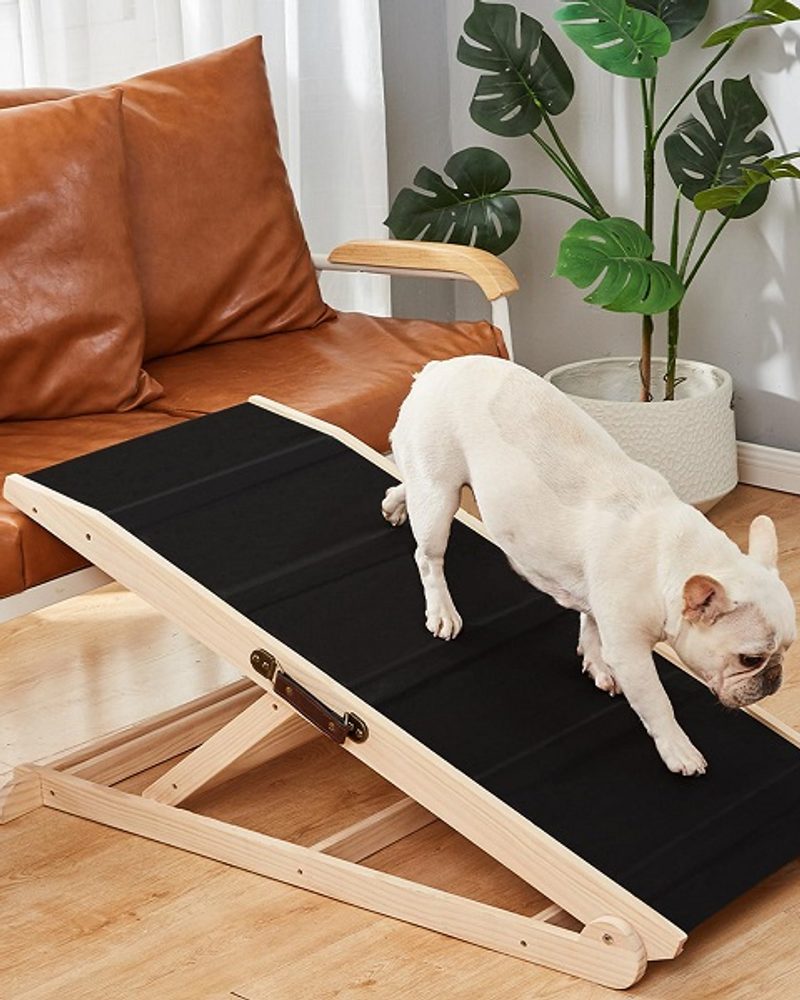 Woohoo Dog Ramp for Bed - the best dog ramps