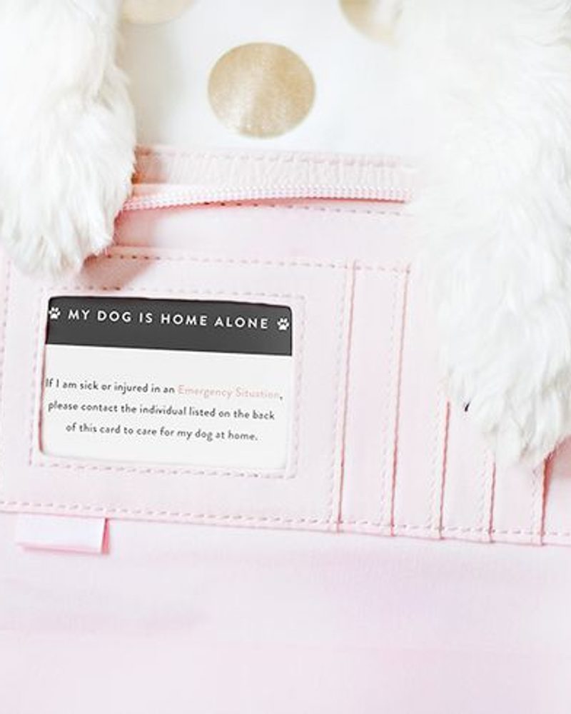 My Dog is Home Alone Card for your dog