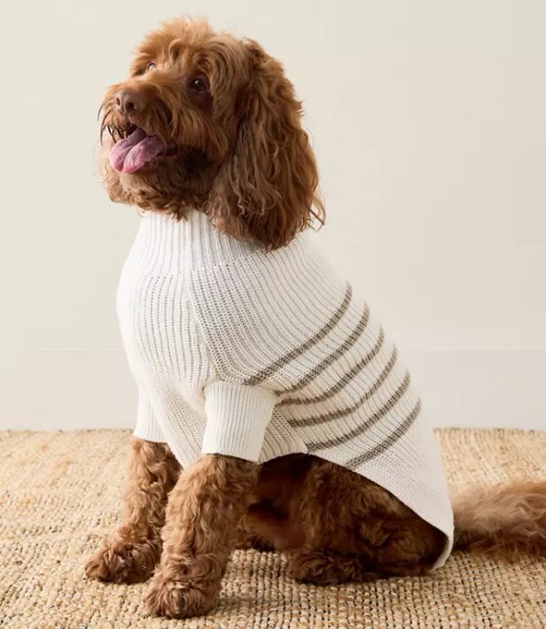 Haven Well Within Striped Dog Sweater