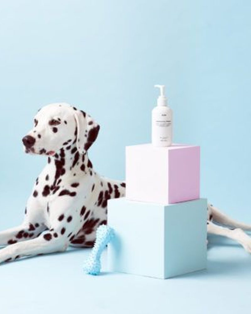 Mr PAW Dog Shampoo - All Natural, Vegan Conditioning Shampoo for Dogs _ Pretty Fluffy