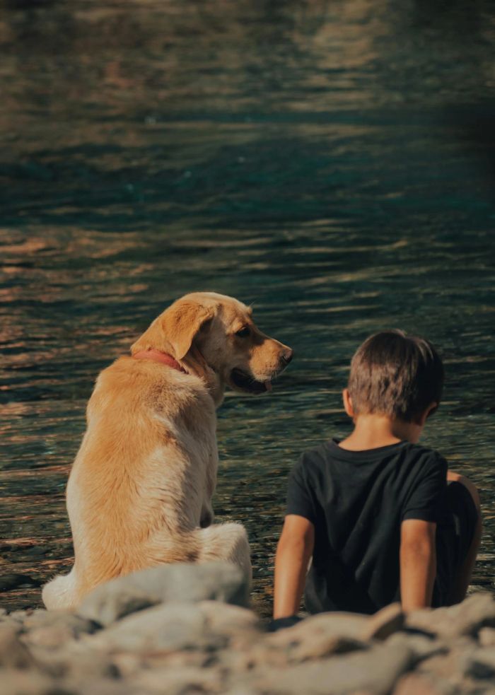 Golden retriever and a young boy sit by the water, enjoying outdoor travel and a pet-friendly lifestyle.