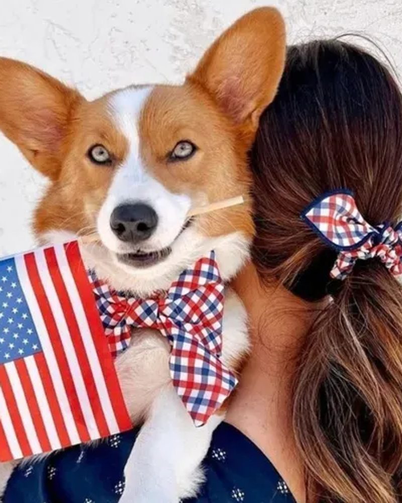 Patriotic Dog-Collar-by-The-Foggy-Dog-2