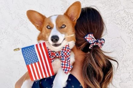 105 Adorable Patriotic Dog Names for July 4th