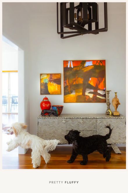 Getting a Second Dog: Pros, Cons and When to Do It