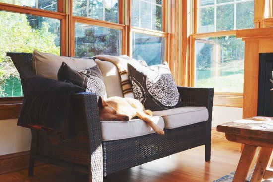 A dog sleeping on a cushioned wicker couch in a sunny room with large windows.