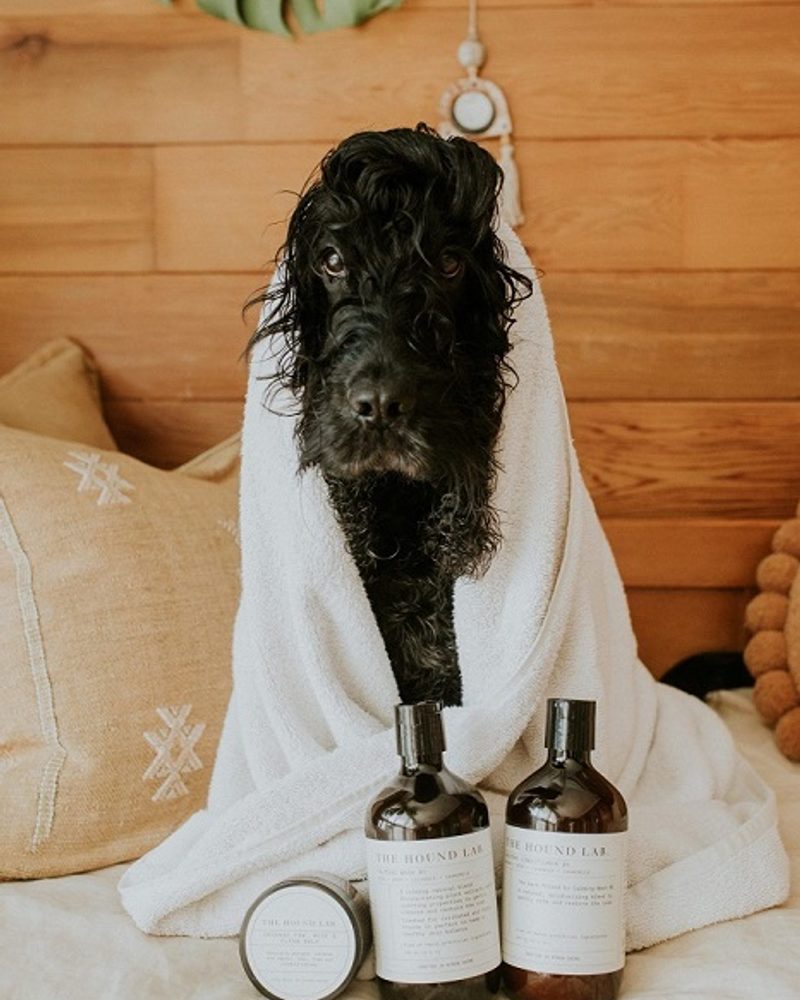 Black Cocker Spaniel in Bath Towel - The Hound Lab - 100% Natural Dog Shampoo & Conditioner