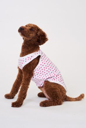 Roller Rabbit hearts dog pajamas